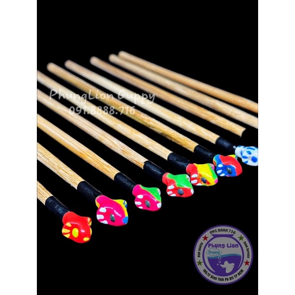 Cây Kè Cá Betta - Giúp Cá Sung