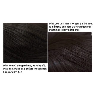 [SHOP UY TÍN] TÓC BÚI LƠI DẠNG CỘT VÀ NGOẠM CHẤT MỊN MƯỢT HÀNG CAO CẤP