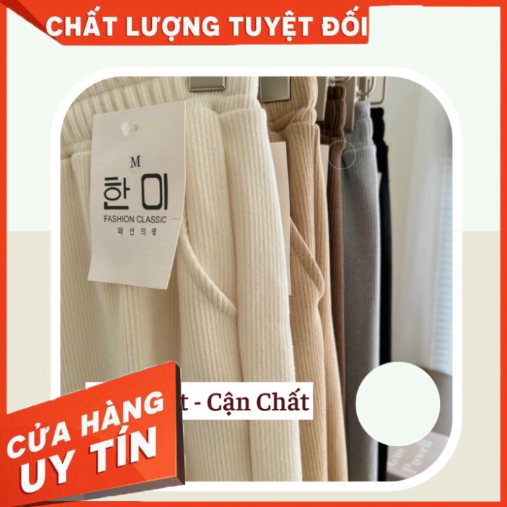 Quần Nỉ Nhung Tăm loại 1 phong cách Jogger bo gấu dày dặn thời trang QN01