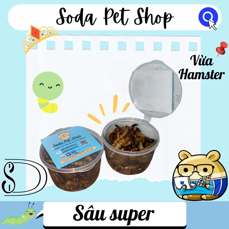 Sâu Rang Super Cho Hamster/Thú Nhỏ