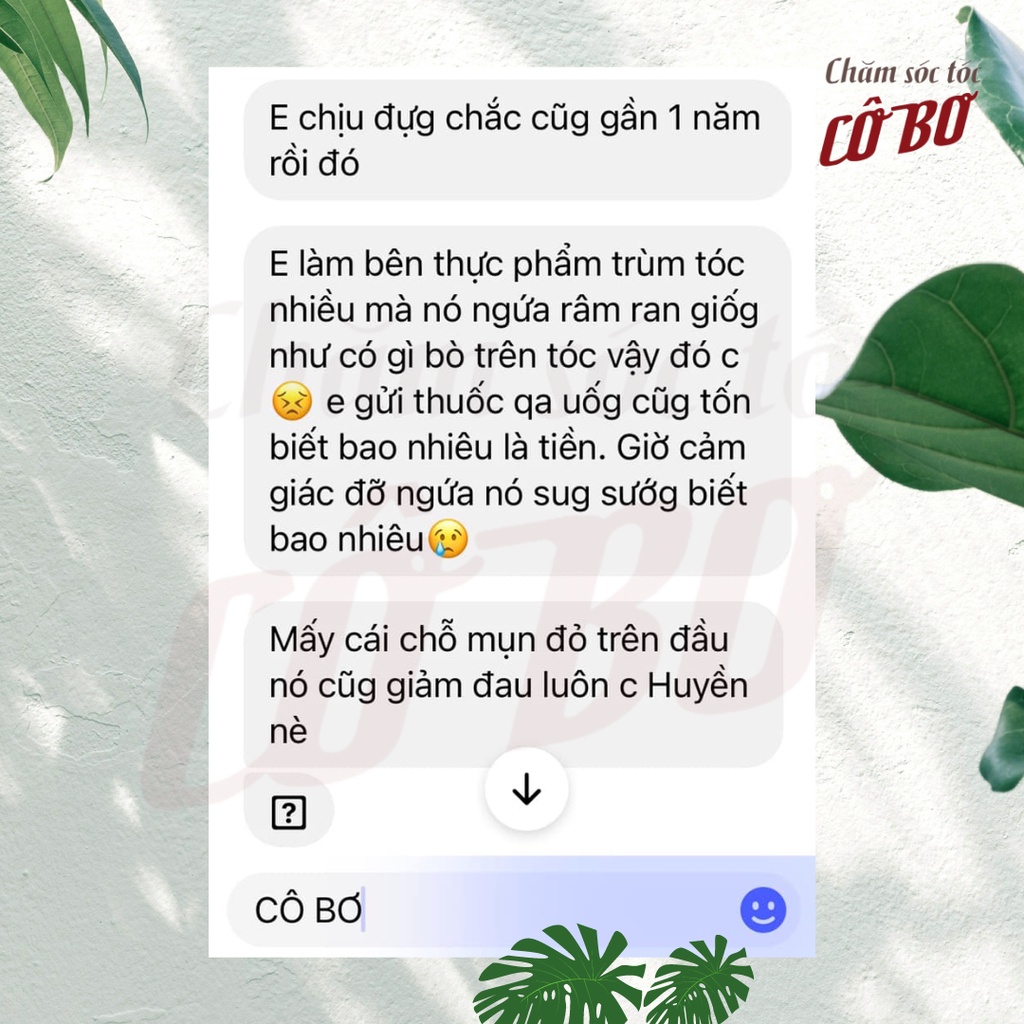 Dầu gội bồ kết thảo mộc thiên nhiên | Dầu gội sạch gàu | Kích thích mọc tóc | Chống rụng tóc | Dầu gội tóc hư tổn CÔ BƠ