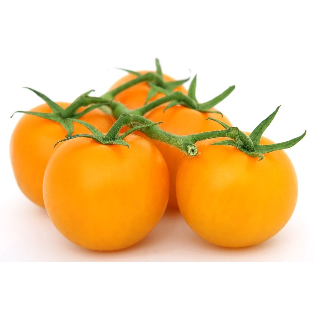 30h Hạt Giống Cà Chua Cherry Lê Vàng