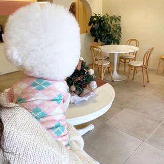 Áo Caro Cho Thú Cưng - PET0079 - B.Corner