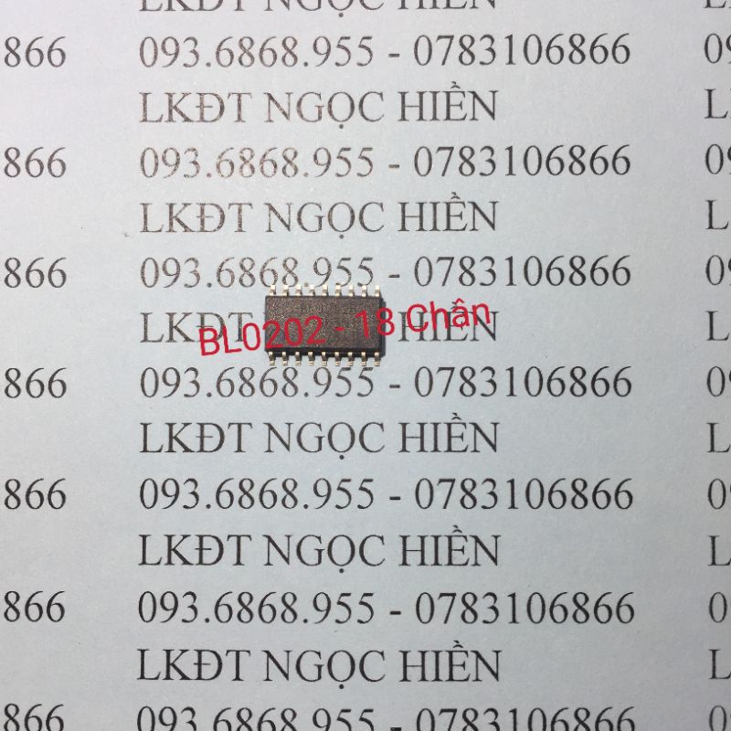 IC Dán BL0202