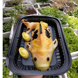 combo 50 Hộp đựng cá chép thỏi vàng hộp đựng xôi hộp ht203 ht17 ht12