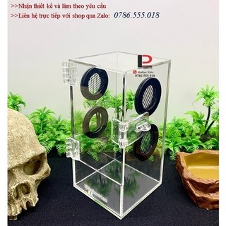 Hộp nuôi nhện cây kích thước 8x8x16cm
