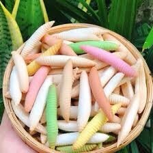 Bánh con đuông dừa mix vị (gợi nhớ tuổi thơ)