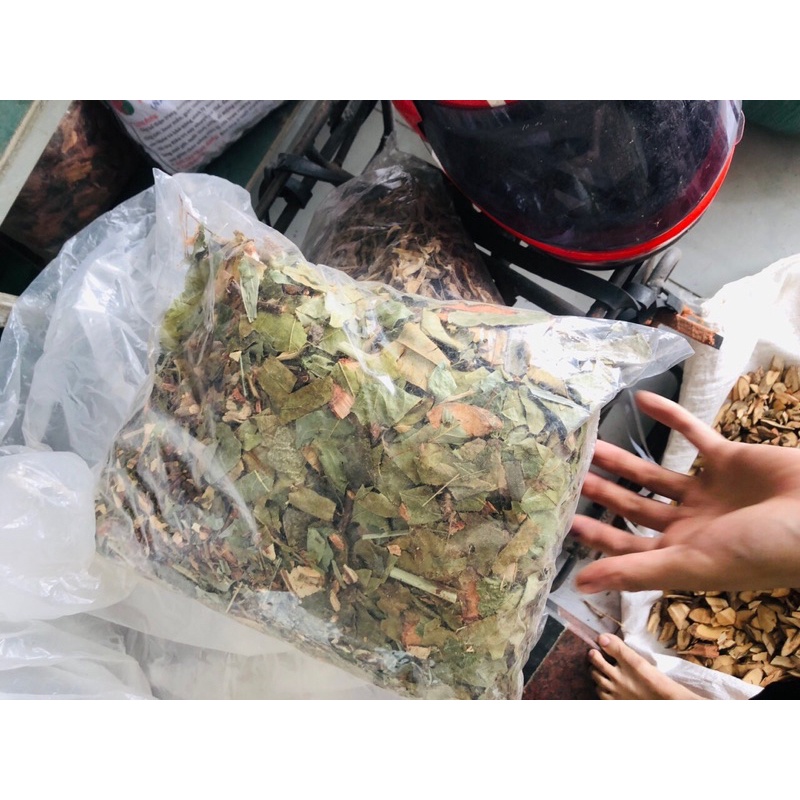 Lá mát gan -Bảo vệ gan, bổ gan 1Kg