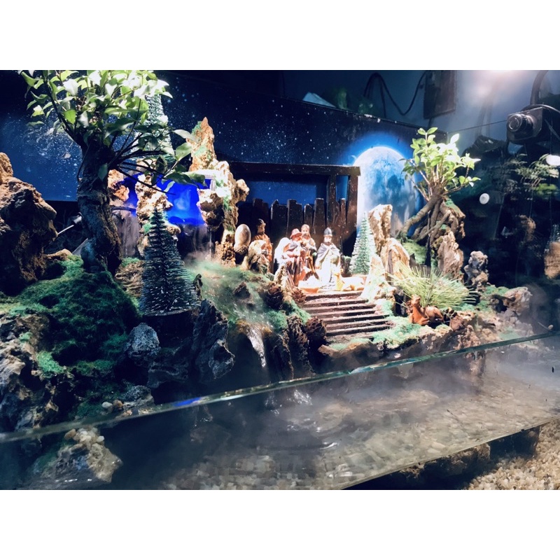 Hồ cá tiểu cảnh Giáng sinh An Lành by Aqua Mặt Trời Vàng