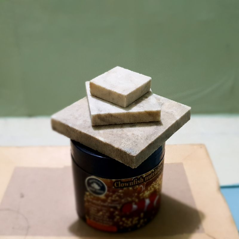 Đế frag gắn san hô