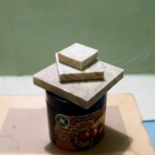 đế frag gắn san hô(100% từ đá san hô tự nhiên)