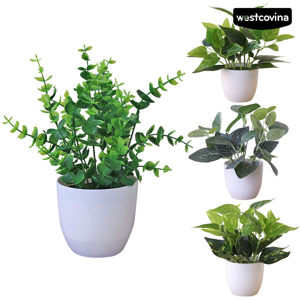 [WEST]⚘Chậu Cây Bonsai Bằng Nhựa Không Phai Đa Năng Trang Trí Nhà Cửa / Tiệc Cưới