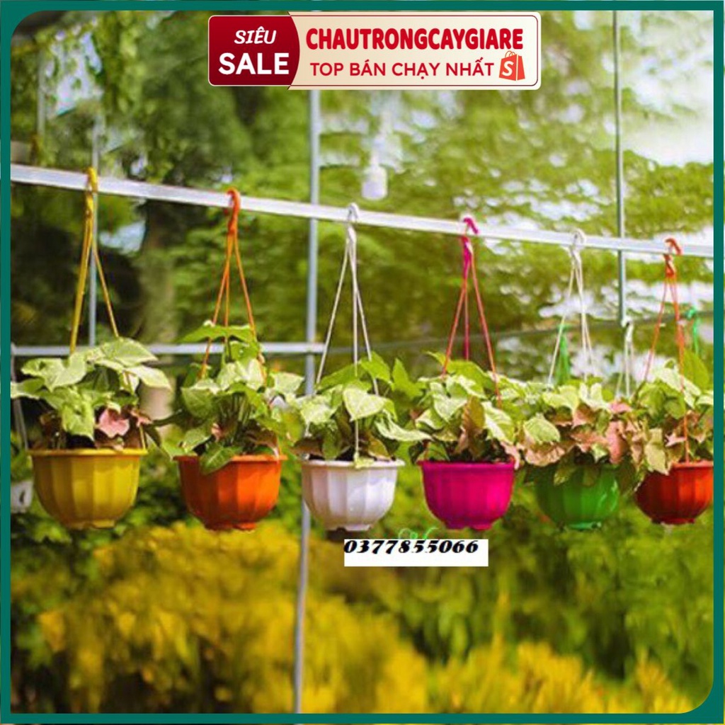 Chậu treo ban công, giỏ treo lan, trồng cây, hoa ban công hình quả bí ngô kích thước 20*17cm bền đẹp hàng công ty loại 1