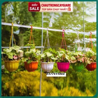 Chậu treo ban công, giỏ treo lan, trồng cây, hoa ban công hình quả bí ngô kích thước 20*17cm bền đẹp hàng công ty loại 1