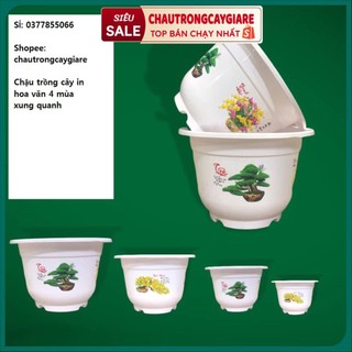 Chậu nhựa trồng cây màu trắng in hoa văn xung quanh, Chậu trồng hoa để ban công trong nhà, kích thước to rộng nhiều size