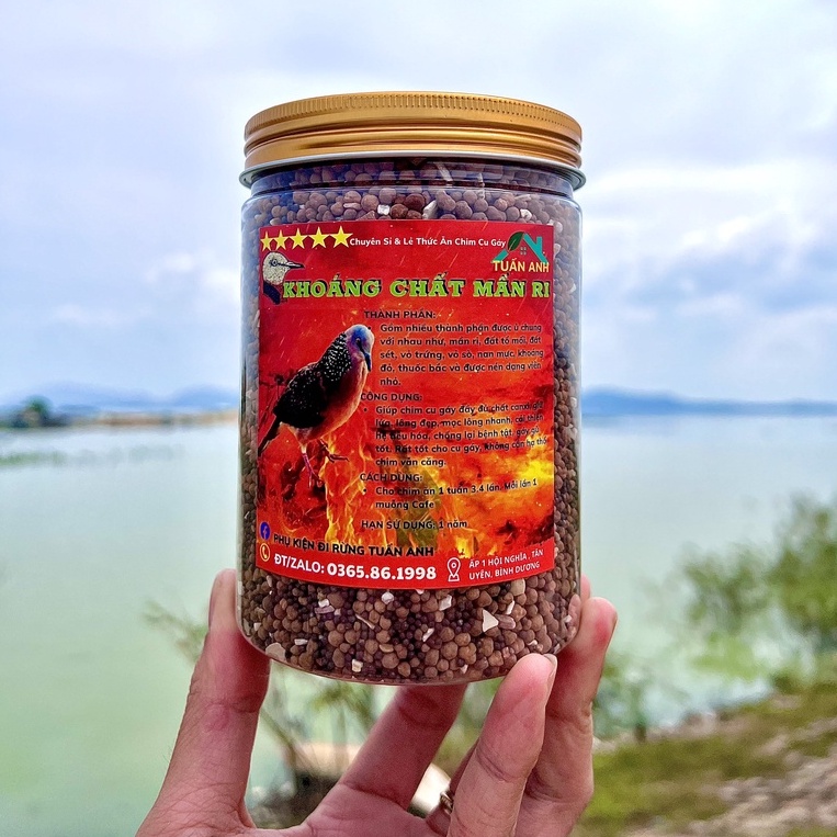 Khoáng Mần Ri Chuyên Kích Sung Cho Chim Cu Gáy