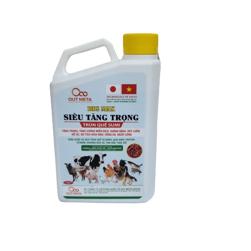 Siêu tăng trọng BIGMAX