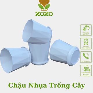 Chậu nhựa ZOZO trồng cây kim cương đĩa size 18x16.8cm