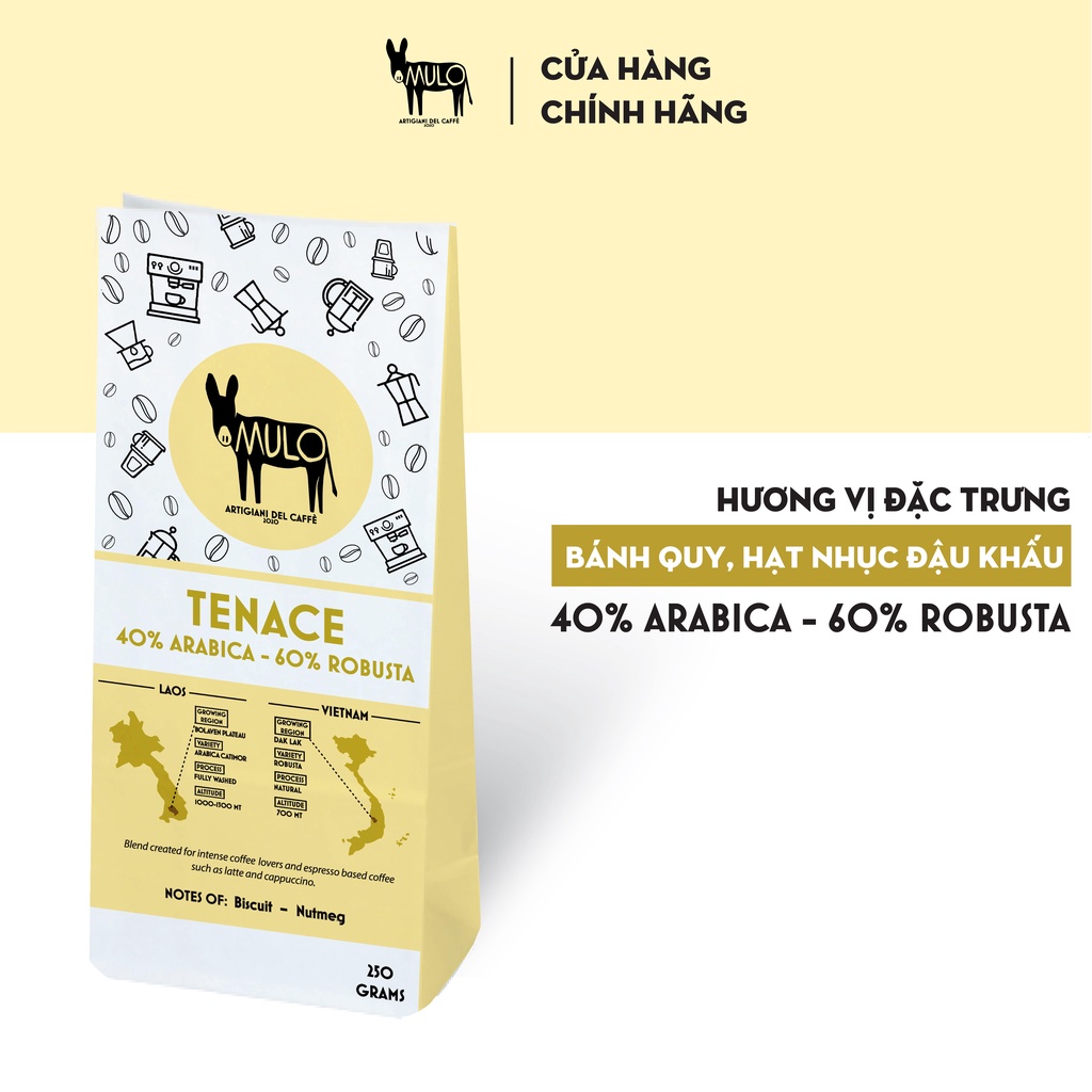 Cà phê Gu Mạnh TENACE nguyên chất , MULO Coffee - Hương vị đậm đà, mạnh mẽ