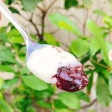 SỮA CHUA NẾP CẨM  / PHÔ MAI