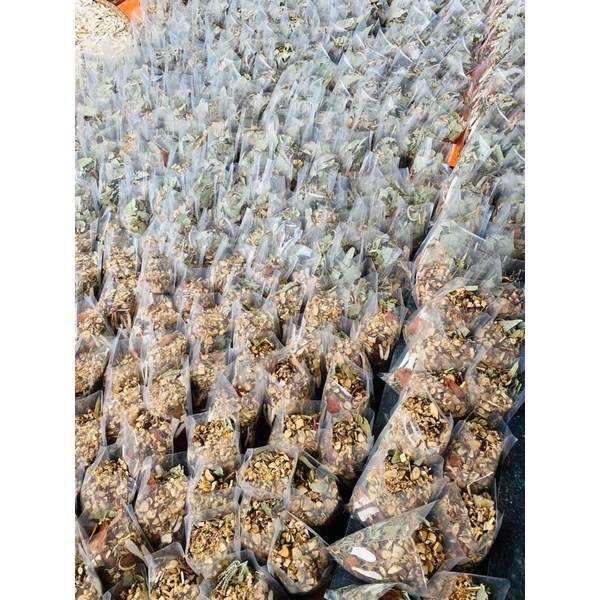 LÁ XÔNG THẢO DƯỢC TOÀN THÂN •Mamy Gold