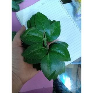 lá hồng in gân