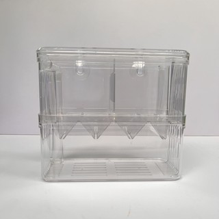 Lồng đẻ mica tách cá đẻ an toàn, lồng đẻ tách đẻ cá bảy màu, cá molly, cá mún và những dòng cá đẻ con
