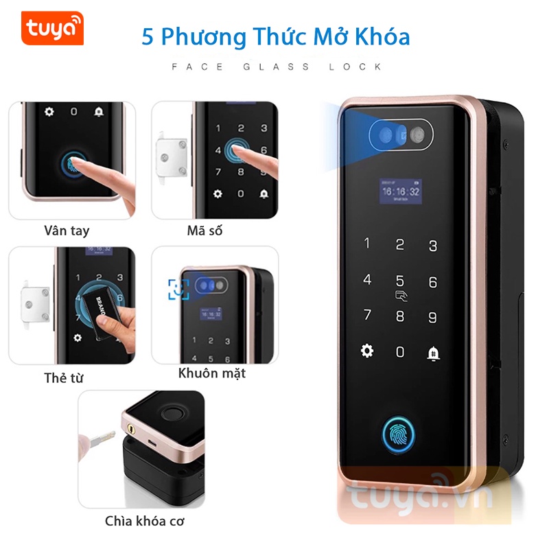 Khóa Cửa Kính Nhận Diện Gương Mặt Face ID Wifi Tuya SHP-DL8C