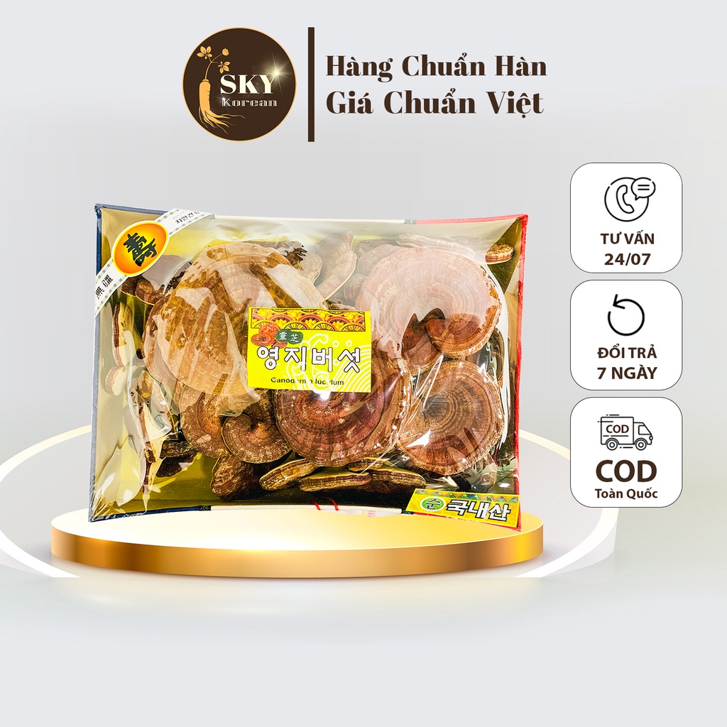 Nấm hộp lụa có chân cao cấp Hàn Quốc, Linh chi núi đá có chân, Nấm linh chi hàn quốc