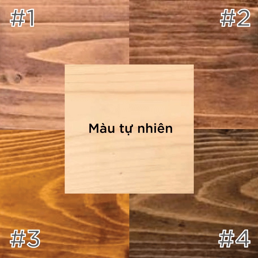 Cành cây tự nhiên 20/30/40/50/60/70cm làm macrame, decor trang trí