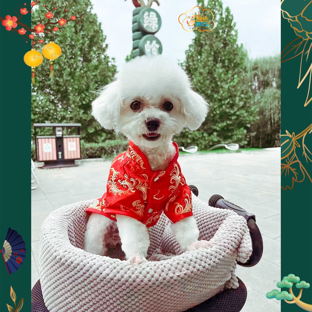 Áo Tết Cho Chó Mèo Quần Áo Thú Cưng Tết Yếm Đại Cát Thiết Kế Cao Cấp Hiha Pets 2024