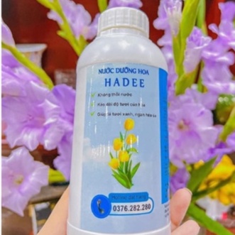 Nước dưỡng hoa Hadee Cắm bình hoa tươi