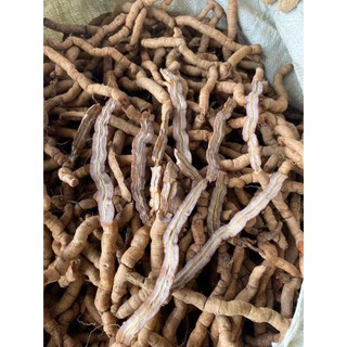 Ba kích tím Quảng Ninh (Nguyên củ) Hàng A1 (1kg)