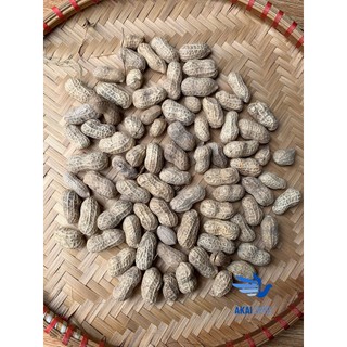 [1KG] Củ Lạc Nguyên Vỏ Đã Được Phơi Khô Dùng Cho Người Hoặc Vẹt & Các Loài Động Vật Gặm Nhấm Khác...