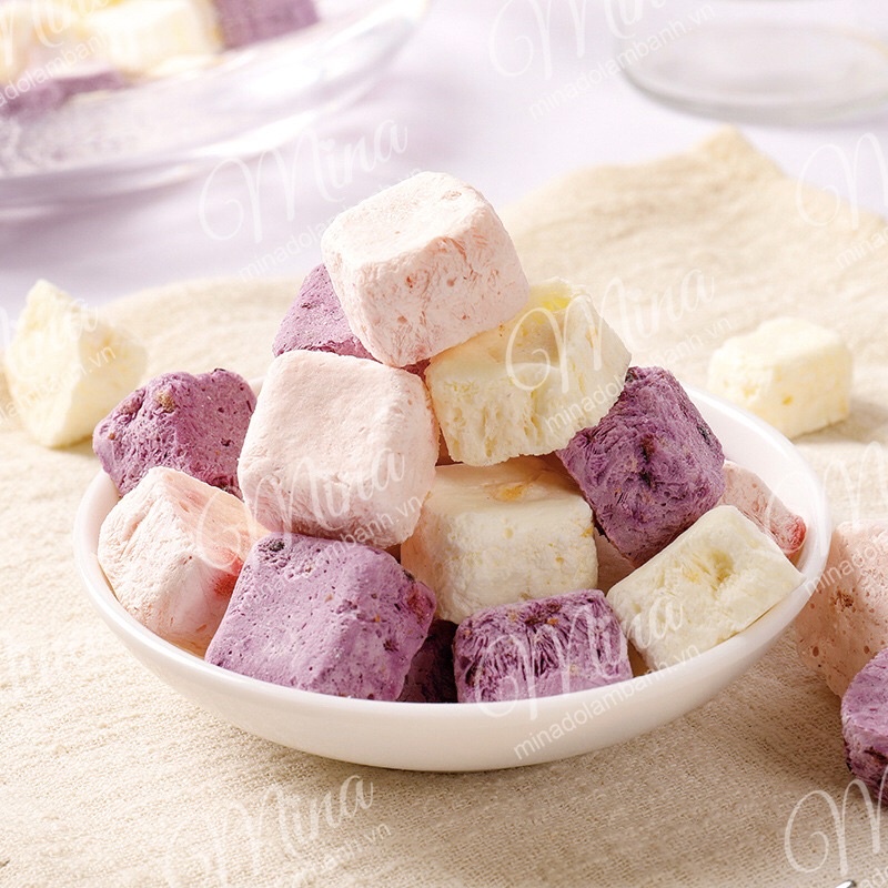 Sữa Chua sấy giòn mix vị 500g