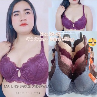 Áo lót ngực ren bigsize có gọng nâng ngực, đệm mỏng - hàng thái lan