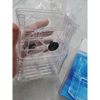 Lồng tách dưỡng cá cảnh Acrylic