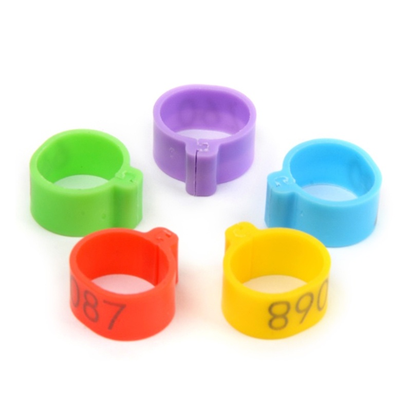 Set 100 Kẹp Chân Vịt May Mắn Cho Bantam