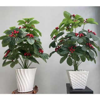 Cây kim ngân lượng, cây kim ngân lượng decor, cây ngân lượng giả trang trí, cây cheery 72cm
