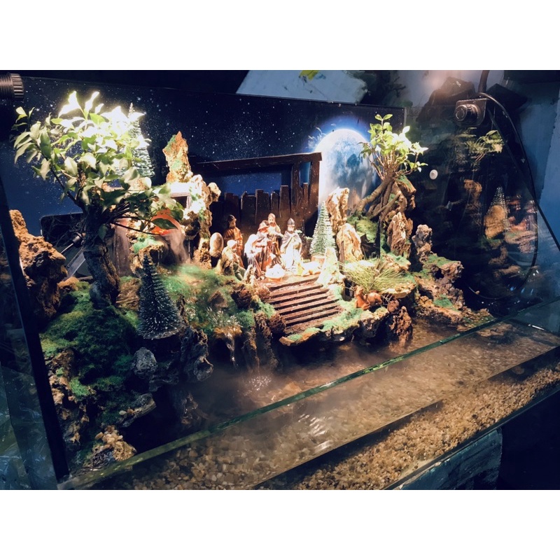 Hồ cá tiểu cảnh Giáng sinh An Lành by Aqua Mặt Trời Vàng