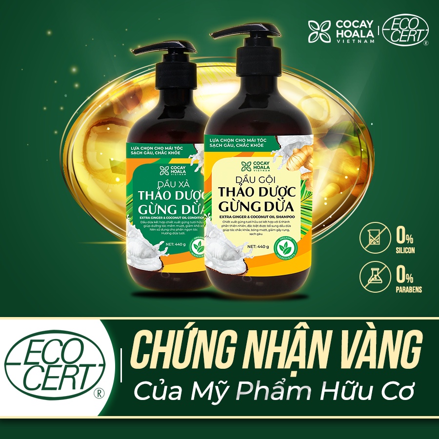 COMBO gội xả sạch gàu thảo dược gừng dừa hữu cơ Cocayhoala đánh bay gàu, giảm ngứa dung tích 880ml