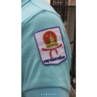 Logo tổng phụ trách