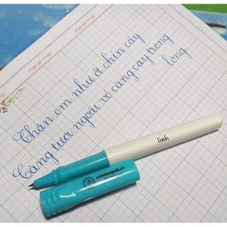 Bút thầy Ánh SH 068 pro (lá tre thanh đậm)
