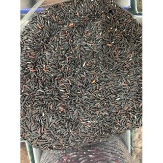 GẠO LỨT ĐEN ĐIỆN BIÊN