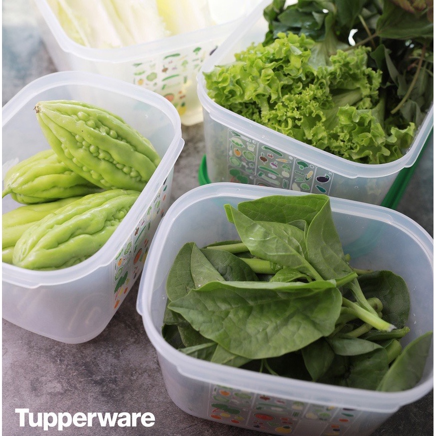 Bộ hộp trữ đông và trữ mát Tupperware Essential Ventsmart - Bảo hành trọn đời - Nhựa nguyên sinh PP số 5 an toàn