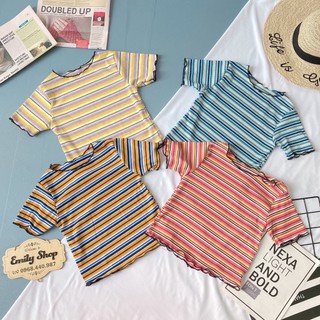 Áo thun gân croptop cổ tròn sọc phối viền