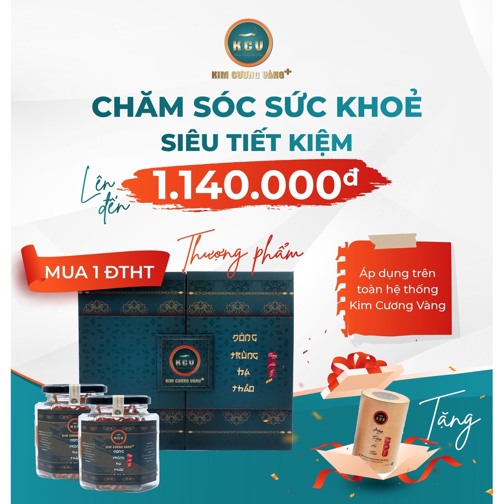 Qùa Tặng Tết Đông Trùng Hạ Thảo Thượng Phẩm - Tặng 1 Hộp ĐTHT 10G