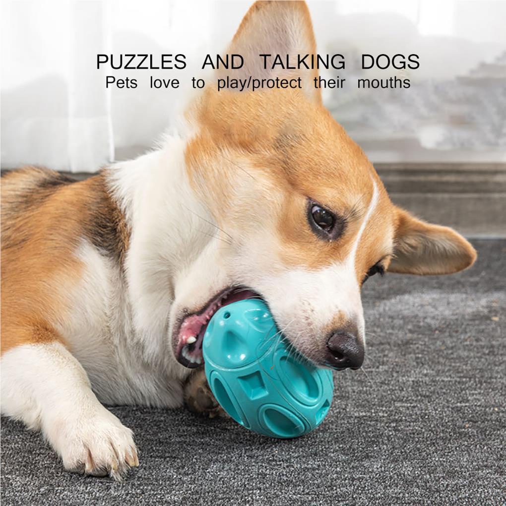 Bóng Cao Su Đồ Chơi Cho Thú Cưng