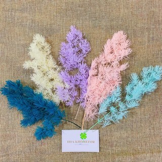 Tùng Nho, Tùng Bồng Lai khô trang trí resin, thiệp, tranh handmade...
