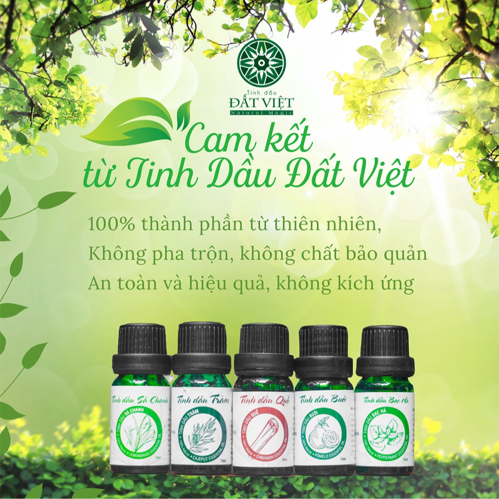 Tinh Dầu Thiên Nhiên Nguyên Chất Đất Việt 10ml, Tinh dầu Sả Chanh, Bạc Hà, Bưởi, Tràm, Quế
